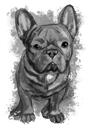 Trækul fransk bulldog portræt