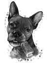 Fransk bulldog karikatyr porträtt tecknad i huvud och axlar svart bly akvarell stil