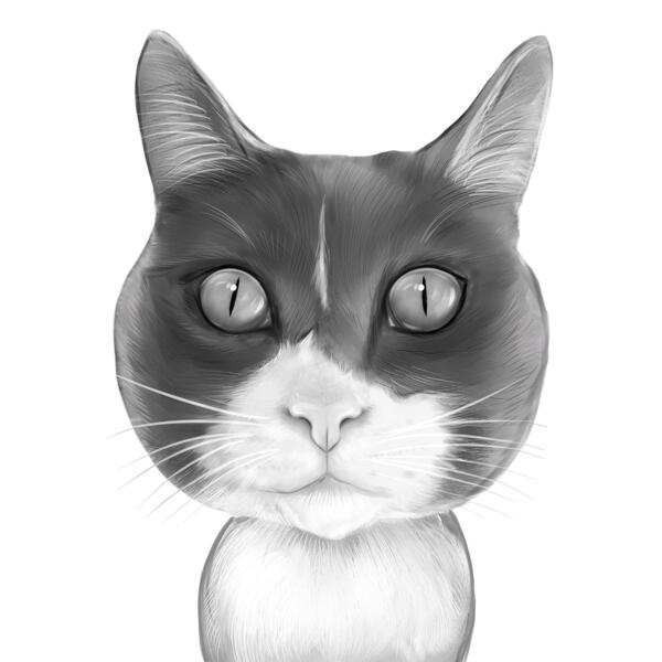 Portrét kočky z fotografií v černobílém stylu