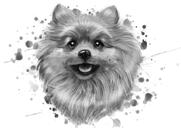 Pomeranian Dog Cartoon Portree akvarell-grafiit stiilis