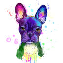 Fransk bulldog portræt Pastel akvarel