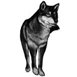 Portrait de loup en noir et blanc
