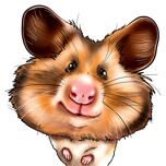 Caricatura exagerada de hamster