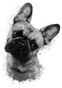 Ranskalainen bulldogkarikatyyri muotokuva sarjakuva pää ja hartiat musta lyijy vesiväri tyyliin