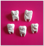 3. Teeth Magnets-0