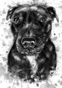 Retrato de grafite do cão Staffordshire Terrier em fotos