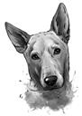 Graphite Basenji Caricature