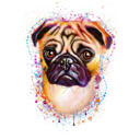 Adorable Pug Portrait Hand Drawn from Photos in Natural Watercolor Style