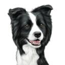 Border-Collie-Karikatur nach einem Foto