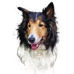 Collie Portrait: Natural Watercolor Painting