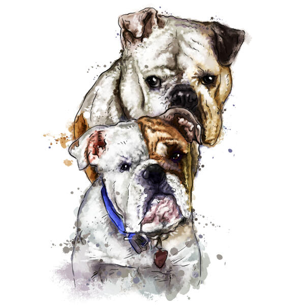Caricatura de pareja de Bulldogs en estilo de acuarela natural dibujada a mano a partir de fotos