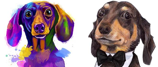 Dachshund Caricature Hand-Drawn from Photos