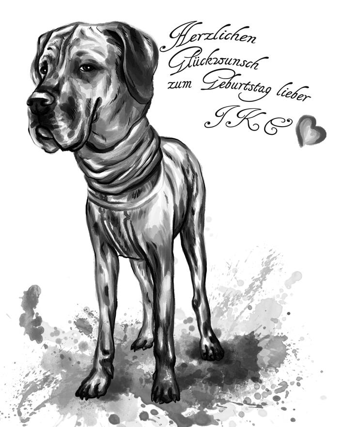Full Body Black Lead Great Dane Dog Cartoon Drawing from Photo in  Watercolor Style