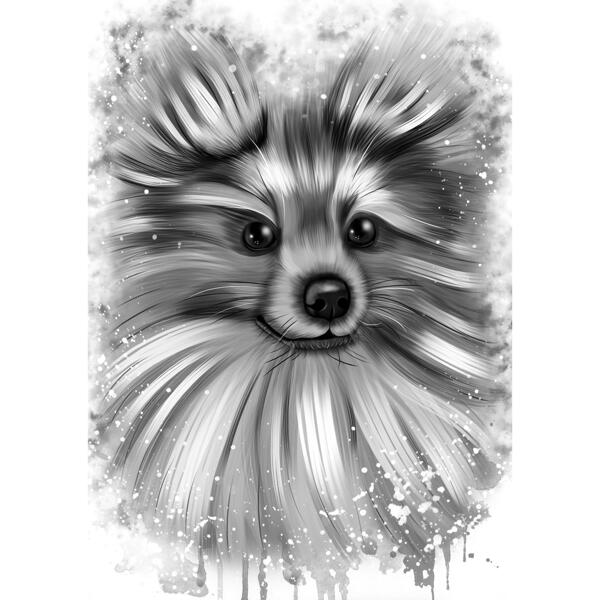 Pomeranian Dog -sarjakuva muotokuva akvarelligrafiittityyliin