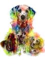 Kolmen koiran ryhmämuotokuva karikatyyristä sateenkaaren vesiväreissä, koko kehon tyyppi