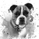 Retrato de boxeador en escala de grises en acuarela de fotos para regalo de amante de las mascotas