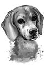 Caricatura di ritratto ad acquerello di grafite di Beagle da foto