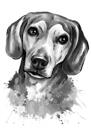 Beagle grafit akvarel portræt karikatur fra fotos