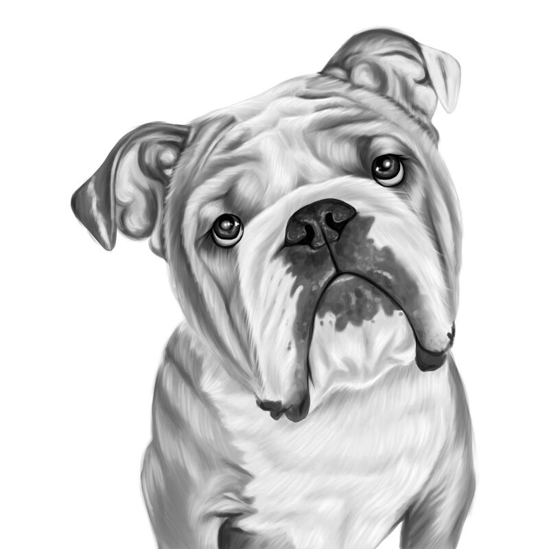 Bulldog Cartoon Portrait in Black and White Style from Photo